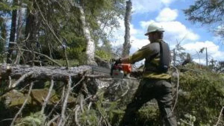 Drepturile angajatilor in Marea Britanie