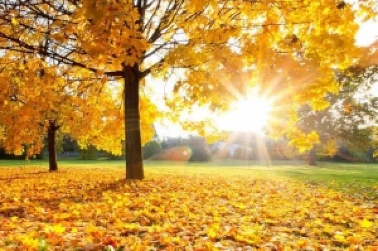 Prognoza meteo (ANM): In luna octombrie 2018 va fi o vreme insorita