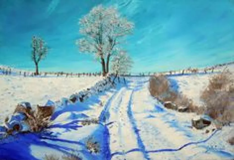 Prognoza meteo pentru perioada 28 ianuarie - 2 februarie 2019