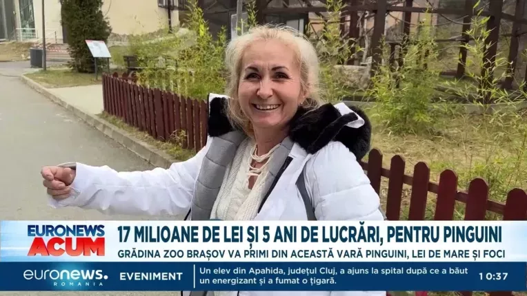 Zoo Brasov: 17 milioane de lei si cinci ani de lucrari, pentru pinguini